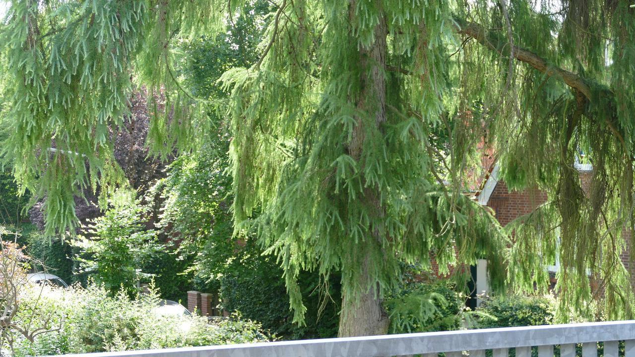 Privatzimmer Hamburg Alsterdorf Dış mekan fotoğraf